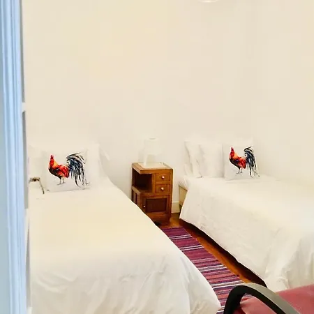 Casa Lobo N°33 In Campo D'ourique 3br Garden Oasis