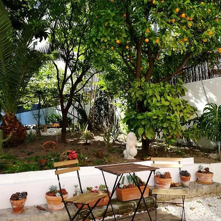 Casa Lobo N°33 In Campo D'ourique 3br Garden Oasis *