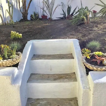 Casa Lobo N°33 In Campo D'ourique 3br Garden Oasis *